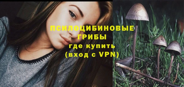 эйфоретик Алексин