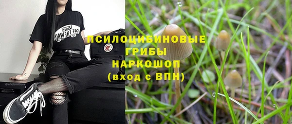 эйфоретик Алексин