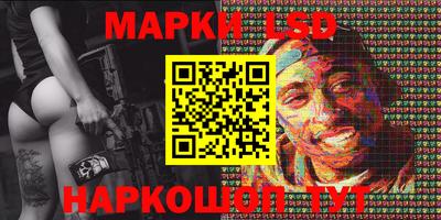 гидра Новозыбков