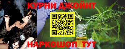гидра Новозыбков