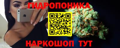 mdpv Новодвинск