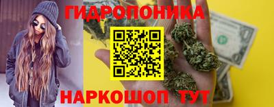 гидра Новозыбков