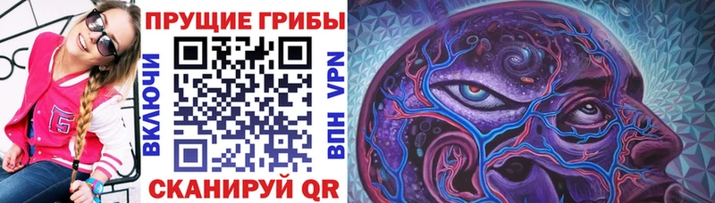 Псилоцибиновые грибы мицелий Сухой Лог