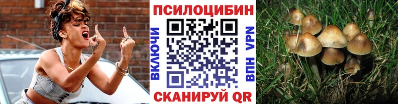 Псилоцибиновые грибы ЛСД  наркота  маркетплейс состав  Сухой Лог 