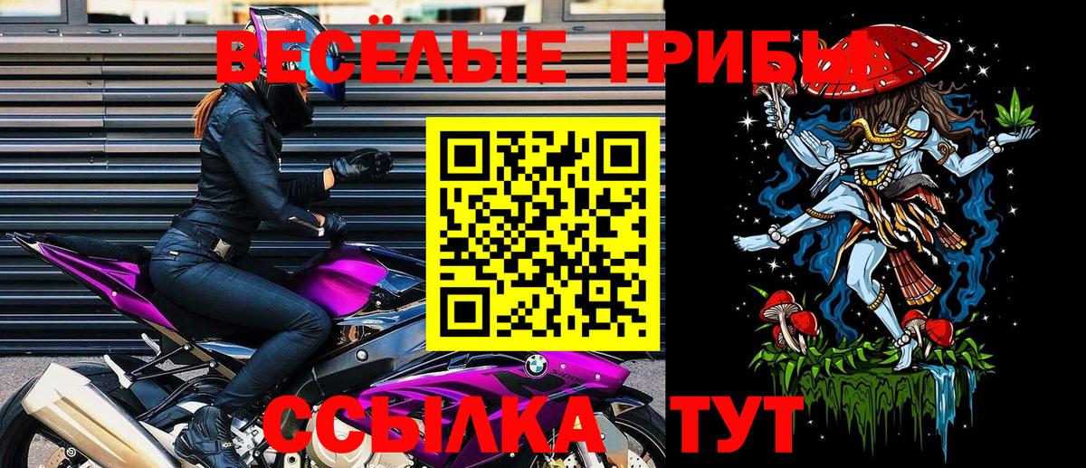 Псилоцибиновые грибы Psilocybe  Вход с VPN  Сухой Лог  Псилоцибиновые грибы Magic Shrooms 