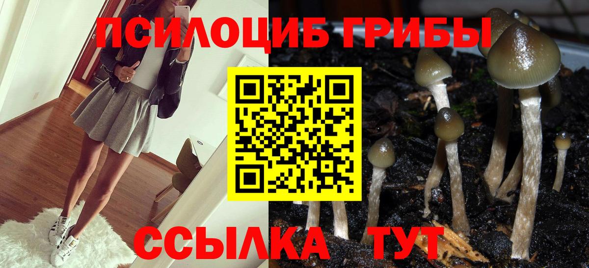 Галлюциногенные грибы прущие грибы Сухой Лог