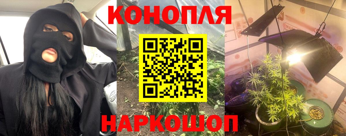Шишки марихуана ГИДРОПОН  Бошки марихуана планчик  Вход с VPN  Канабис Amnesia  Сухой Лог 